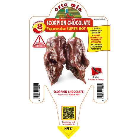 1 PIANTA IN VASO Ø 14CM PEPERONCINO PICCANTE TRINIDAD SCORPION CHOCOLATE ORTOMIO