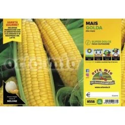 Mais Super Dolce Golda F1 - 12 Piante - Orto Mio