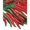 3 PIANTE IN VASO Ø10CM DI PEPERONE ROMITAL PICCANTE LUNGO ORTOMIO ORTO
