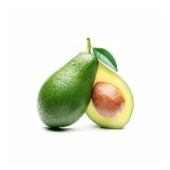 PIANTA PERSEA AMERICANA PIANTA DI AVOCADO FUERTE INNESTATA H 100CM