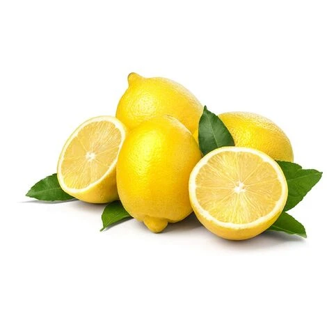 PIANTA Albero LIMONE LUNARIO 4 STAGIONI VASO18CM Agrumi Sicilia H130cm FOTO REAL