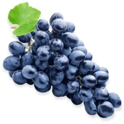 Pianta DI VITE Uva Vigna Da Tavola FRAGOLA NERA IN VASO 16 FOTO REALE AMDGarden