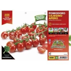 Pomodoro Ciliegino Dolcissimo Apero F1 - 6 Piante - Orto Mio