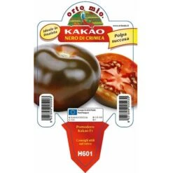 Pomodoro Colorato Nero Di Crimea Kakao F1 - 1 Pianta V.10 Cm - Orto Mio