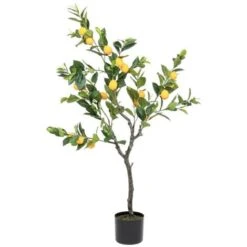 Pianta Limone C-Vaso 198Foglie H120