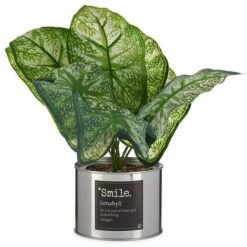 Pianta Decorativa Smile Argentato Lattina Metallo Plastica (26 X 26 X 26 Cm)