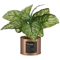 Pianta Decorativa Home Rame Lattina Metallo Plastica (26 X 26 X 26 Cm)