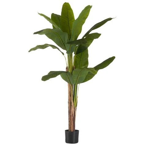 Pianta Decorativa Banano Verde Plastica (80 X 150 X 80 Cm)