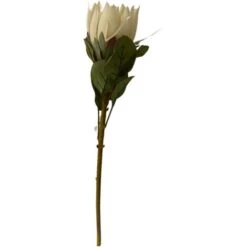 RAMO PROTEA H68 BIANCA