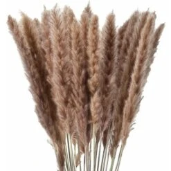 30pcs Piccola Erba Di Pampa Naturale Essiccata Fiori Secchi Bouquet Vasi Decorazione Fai Da Te Per La Decorazione Domestica Fotografia Camera Balcone Tavolo Centrotavola Matrimoni Colore Primario