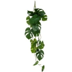 Pianta Pensile Monstera H85cm - Atmosphera Créateur D'intérieur