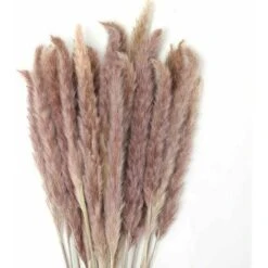 30pcs Erba Di Pampas 60cm Fiori Di Pampas Naturali Bouquet Di Fiori Secchi Per Vasi Decorazioni Bohémien Camera Da Letto Casa Soggiorno Centrotavola Per Foto Di Nozze