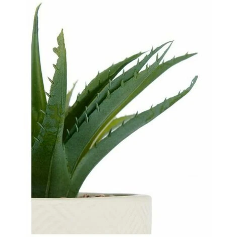 Pianta Decorativa Bianco Plastica (14 X 9 X 14 Cm) - immagine 2