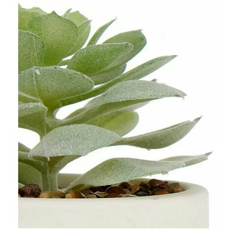 Pianta Decorativa Bianco Verde Plastica - immagine 2